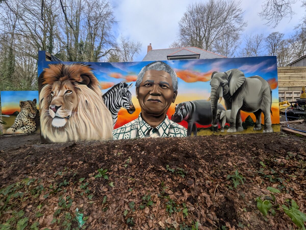 Garden fence mural - bespoke outdoor artwork by Jaksta Art Swindon